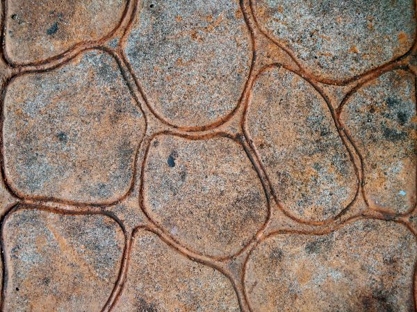 Concrete Stamping in Edmonds