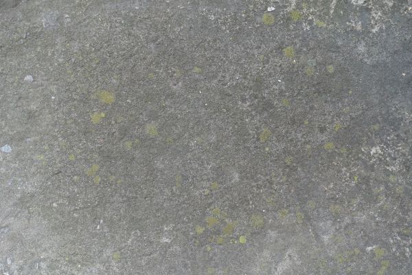 Cost of Slab Staining Service in Edmonds